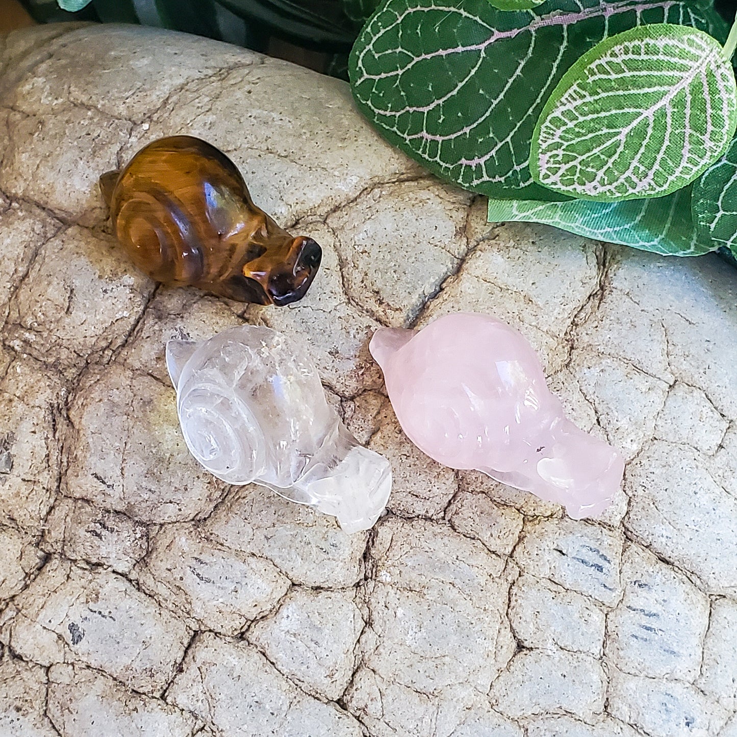 Snails - Rose Quartz, Quartz, & Tiger Eye - Small