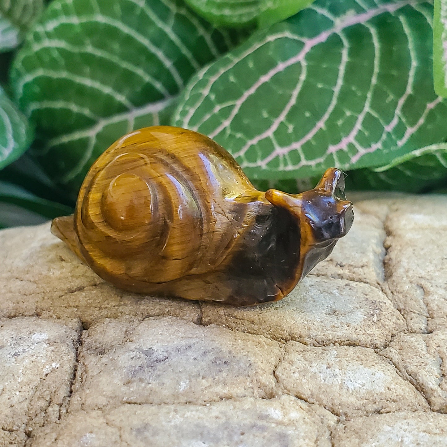 Snails - Rose Quartz, Quartz, & Tiger Eye - Small