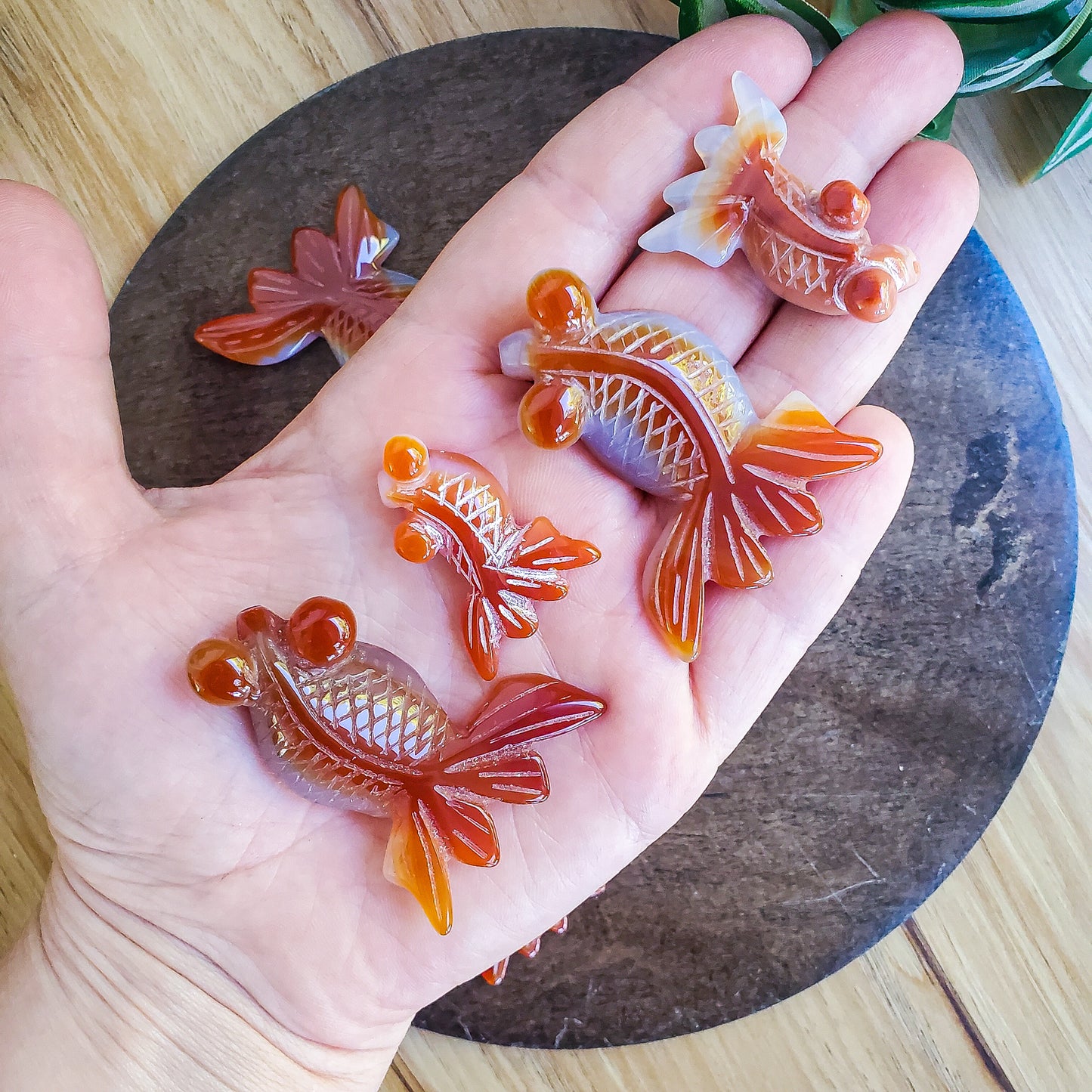 Carnelian Goldfish - small