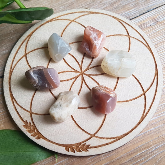 Creamy Moonstone - Polished - 6 pack