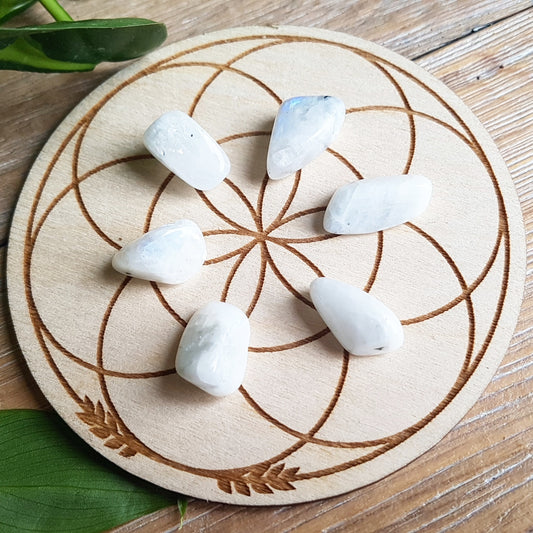 Rainbow Moonstone - Polished - 6 pack