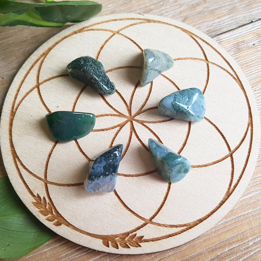Moss Agate - Tumbled - 6 pack