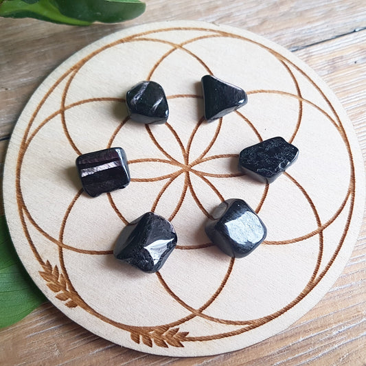 Hypersthene - Polished - 6 pack