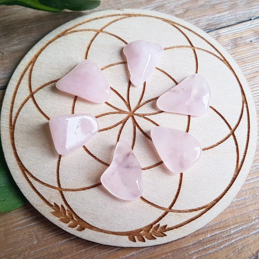 Rose Quartz - Tumbled - 6 pack