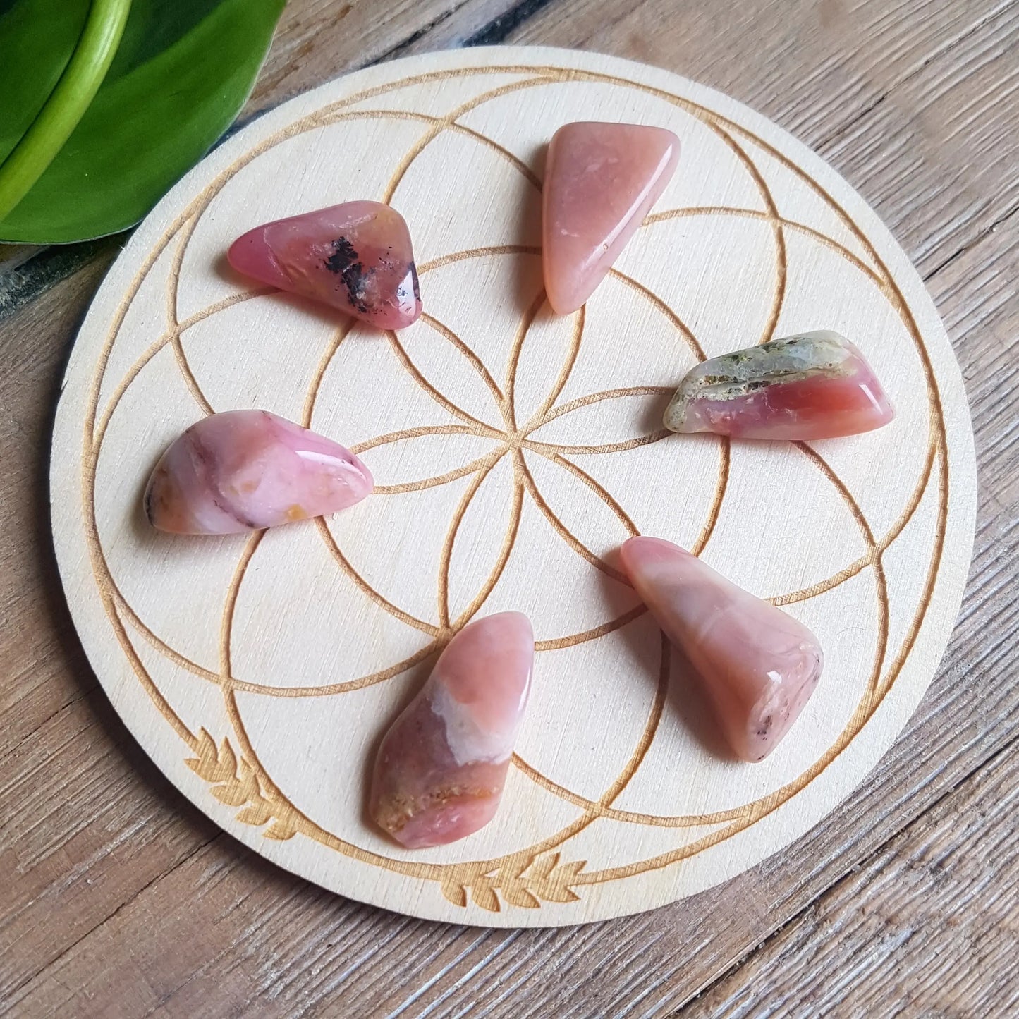 Pink Opal - Tumbled - 6 pack