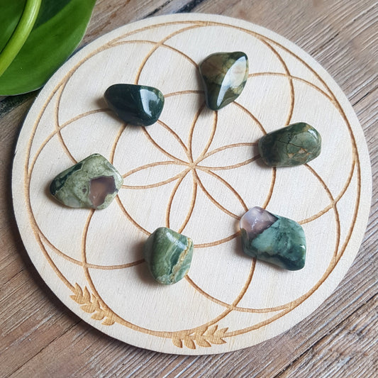 Rainforest Jasper - tumbled - 6 pack