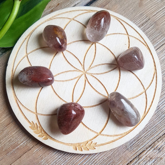 Red Rutilated Quartz - tumbled - 6 pack