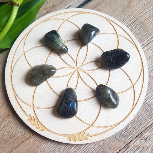 Labradorite - tumbled - 6 pack