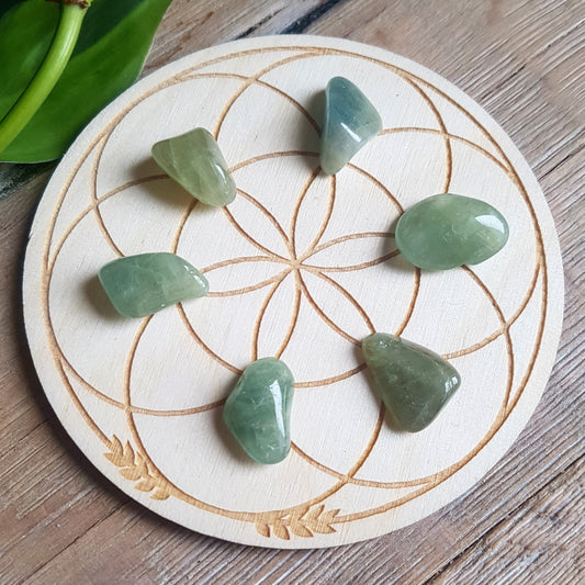 Green Beryl - tumbled - 6 pack