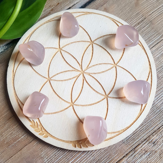 Pink Chalcedony - tumbled - 6 pack