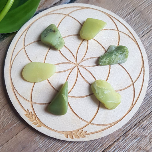 Serpentine (Washington) - Tumbled - 6 pack