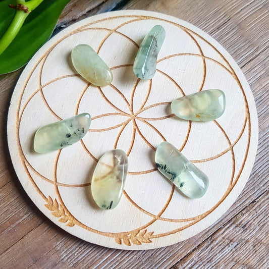 Prehnite - Tumbled - 6 pack