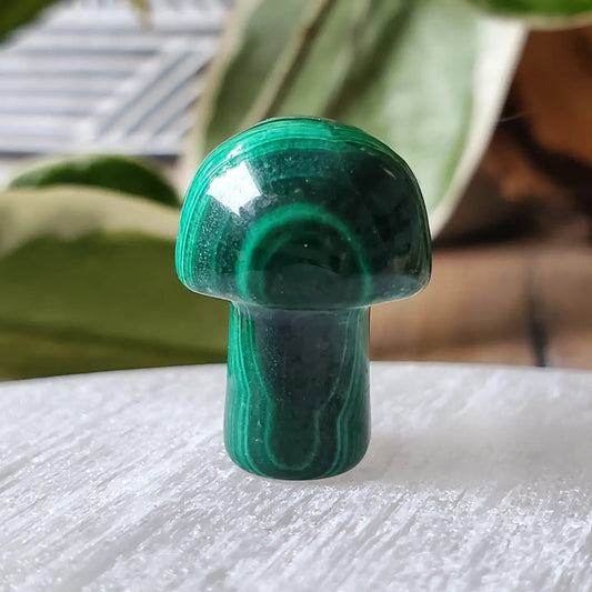 Mushroom - Mini - Malachite