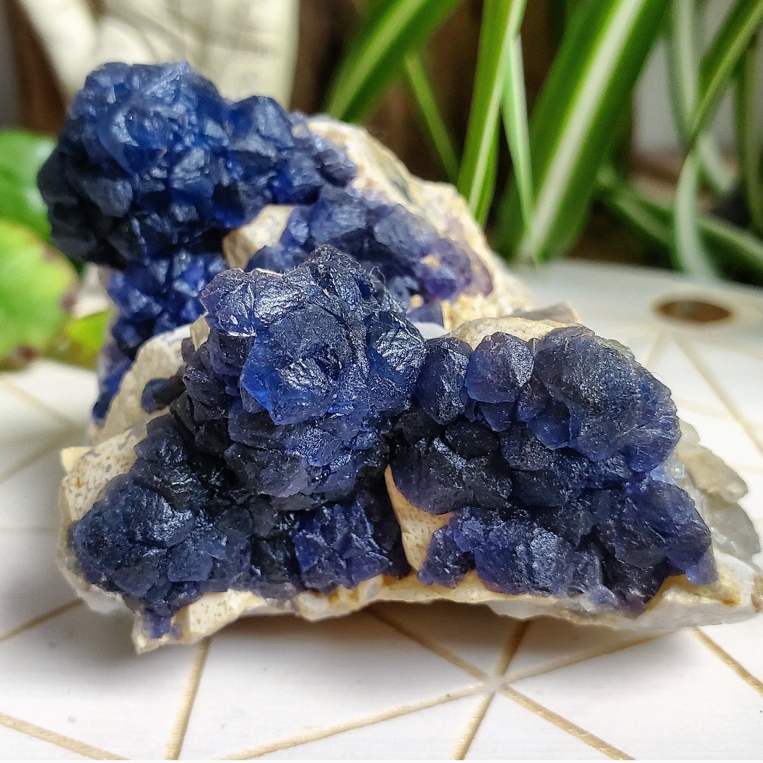 Electric Blue Fluorite and Quartz Cluster (Large) - China