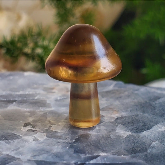 Mushroom - Mini - Yellow Fluorite