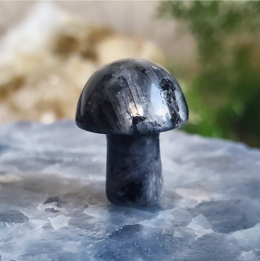 Mushroom - Mini - Larvikite