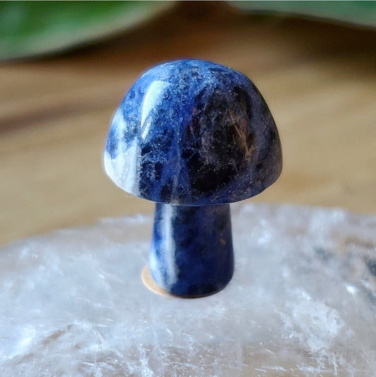 Mushroom - Mini - Sodalite
