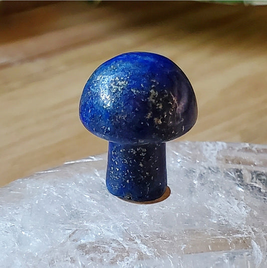Mushroom - Mini - Lapis Lazuli