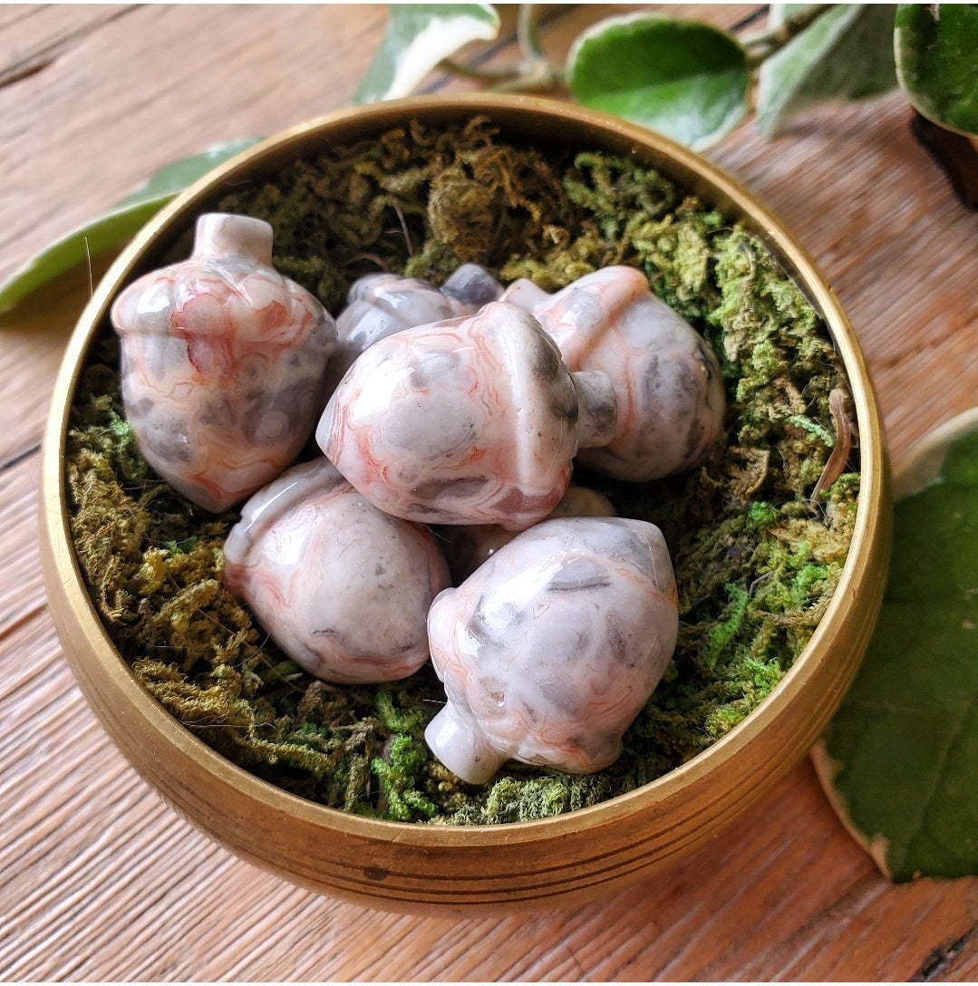 Pink Lace Agate Acorns - Polished
